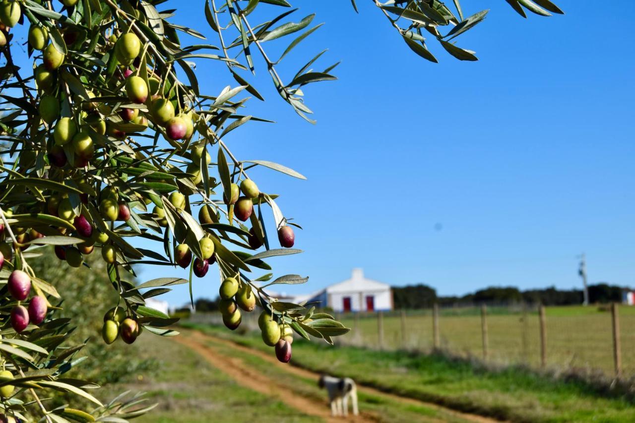 Herdade Da Burquilheira Family Retreat Alcáçovas Εξωτερικό φωτογραφία
