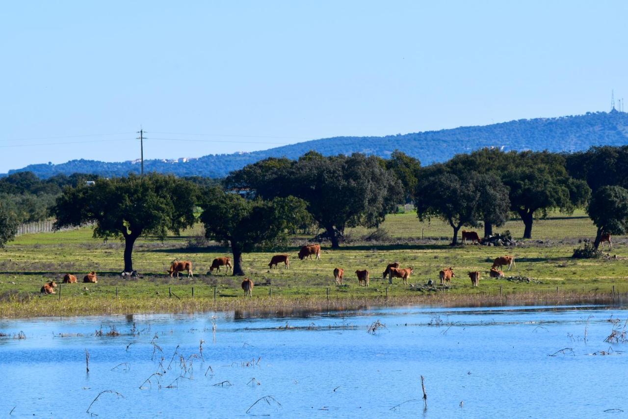 Herdade Da Burquilheira Family Retreat Alcáçovas Εξωτερικό φωτογραφία