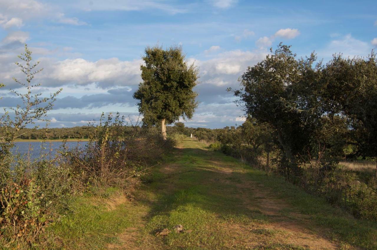 Herdade Da Burquilheira Family Retreat Alcáçovas Εξωτερικό φωτογραφία
