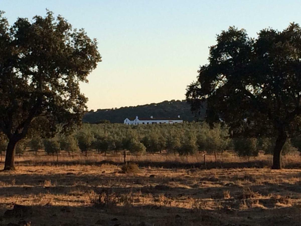 Herdade Da Burquilheira Family Retreat Alcáçovas Εξωτερικό φωτογραφία